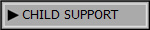  CHILD SUPPORT